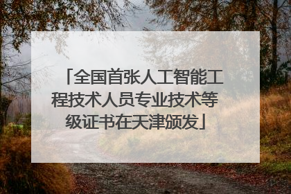 全国首张人工智能工程技术人员专业技术等级证书在天津颁发